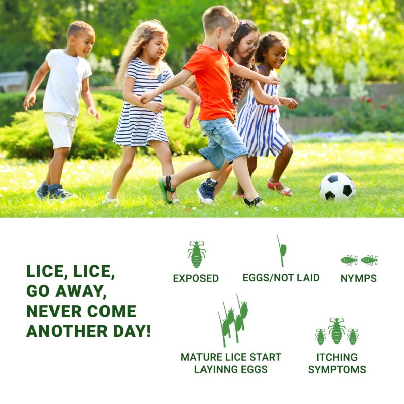 Mediker Anti-Lice Treatment Shampoo 50ml | Painless & Natural Lice Removal - Image 3